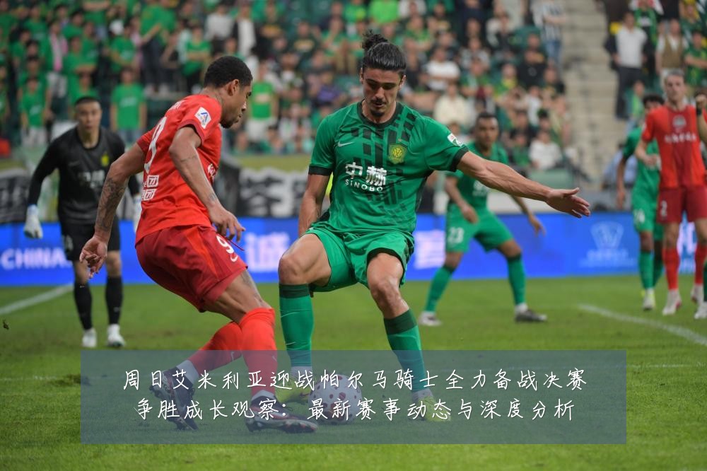 周日艾米利亚迎战帕尔马骑士全力备战决赛争胜成长观察：最新赛事动态与深度分析