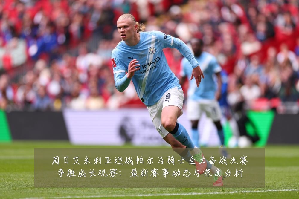 周日艾米利亚迎战帕尔马骑士全力备战决赛争胜成长观察：最新赛事动态与深度分析